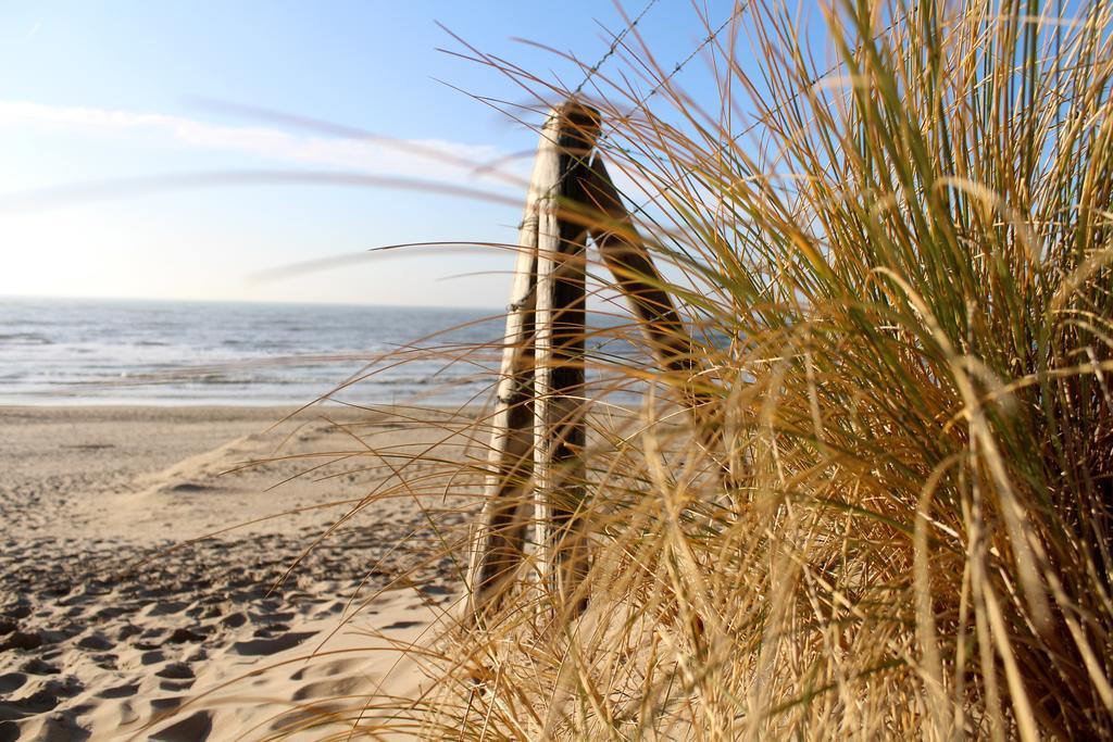Hofje Van Maas Zandvoort Ngoại thất bức ảnh