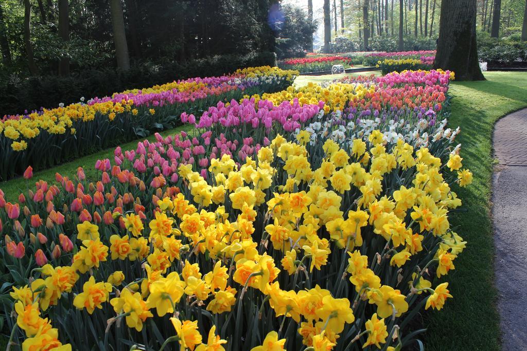 Hofje Van Maas Zandvoort Ngoại thất bức ảnh
