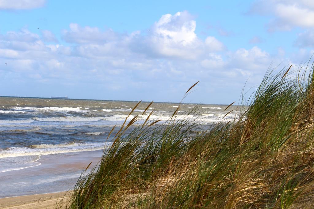 Hofje Van Maas Zandvoort Ngoại thất bức ảnh
